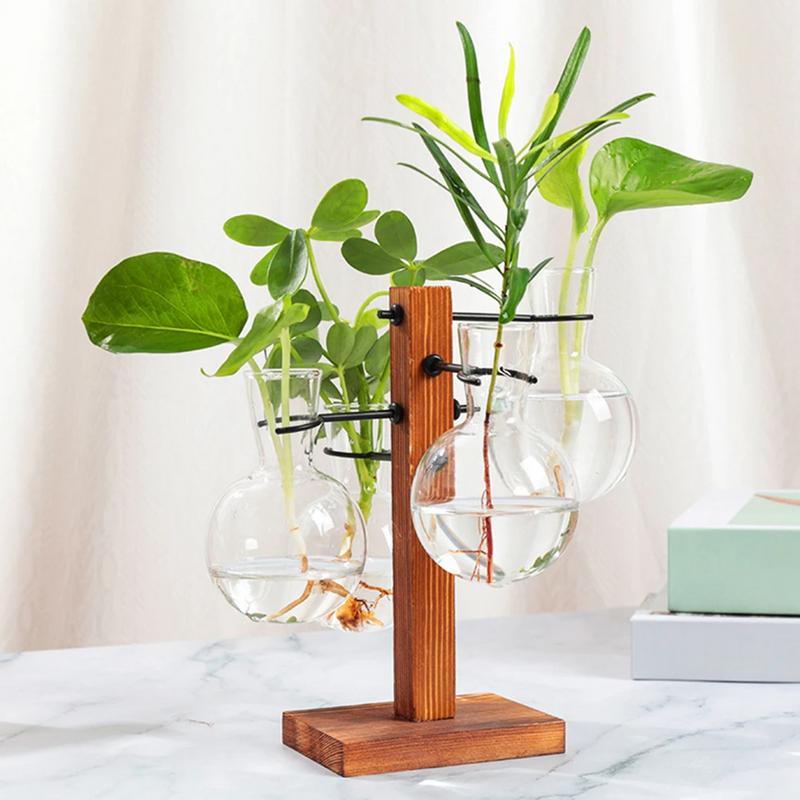 Terrarium With Stand Terrarium - đánh giá và giá Propagation Station Vase