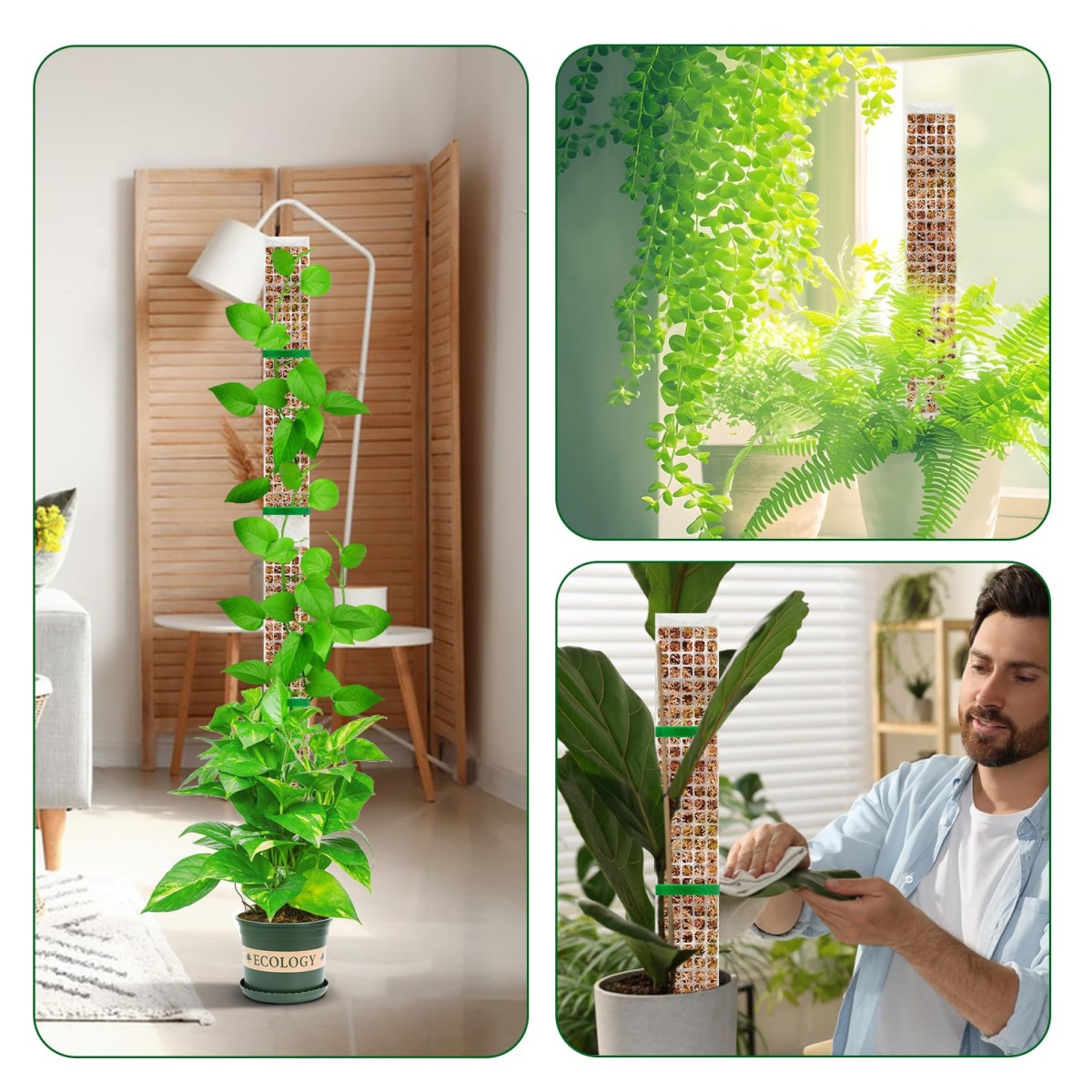 Stackable Plastic Moss Pole fo - đánh giá và giá Sphagnum Moss Dry