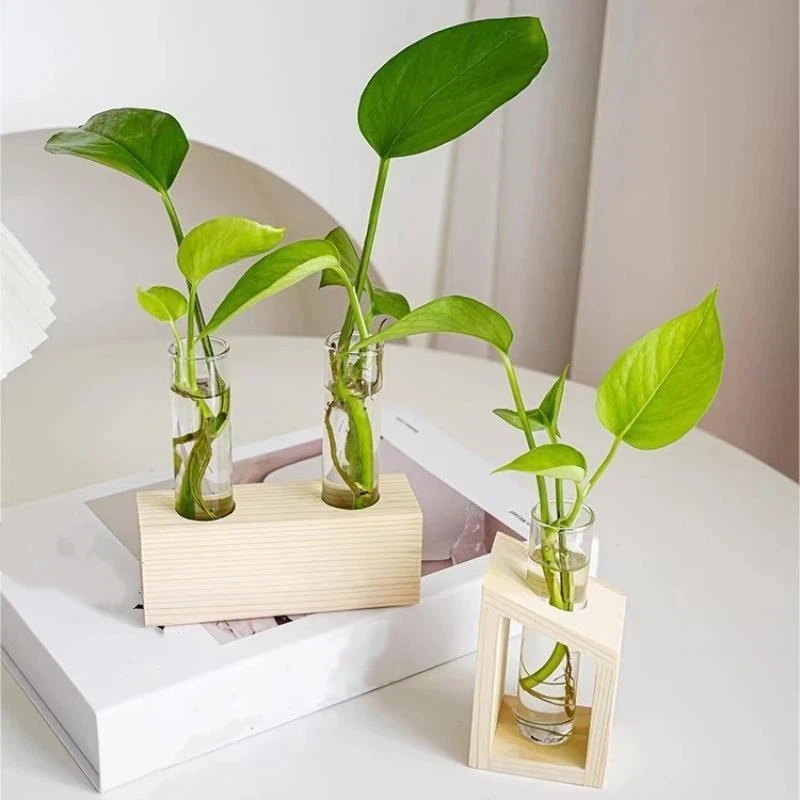 Test Tube Glass Vase Plant Pro - đánh giá và giá Propagation Station Vase