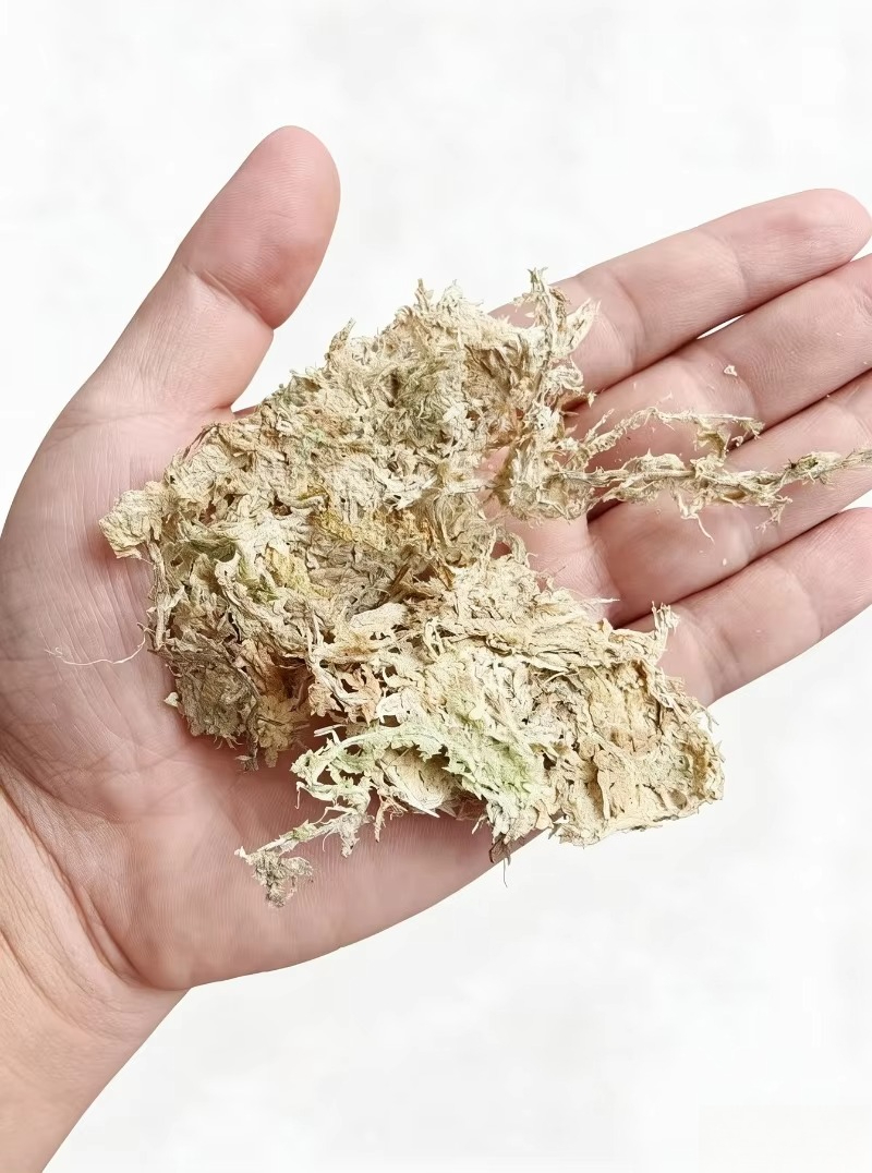 Premium Sphagnum Moss for Orch - đánh giá và giá Sphagnum Moss Dry