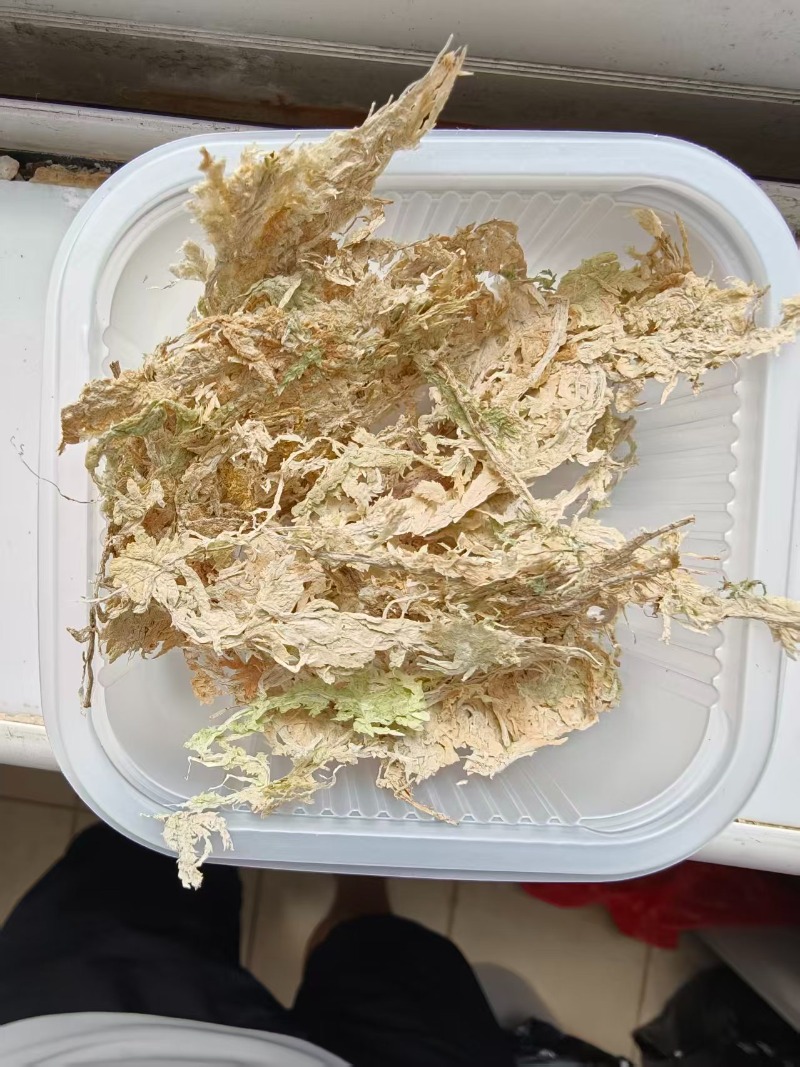 Premium Sphagnum Moss for Orch - đánh giá và giá Sphagnum Moss Dry